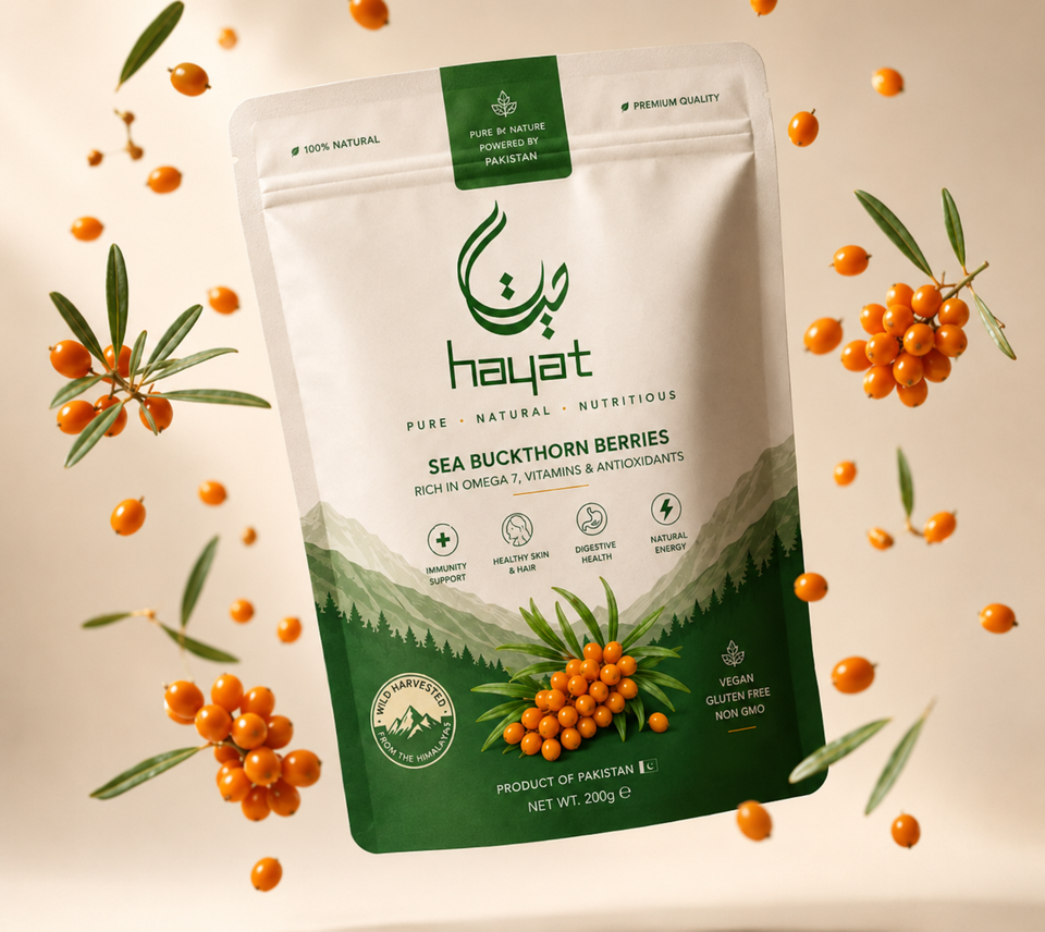 Sea Buckthorn "Seaberry" Tree Seeds Cold Hardy Fruit