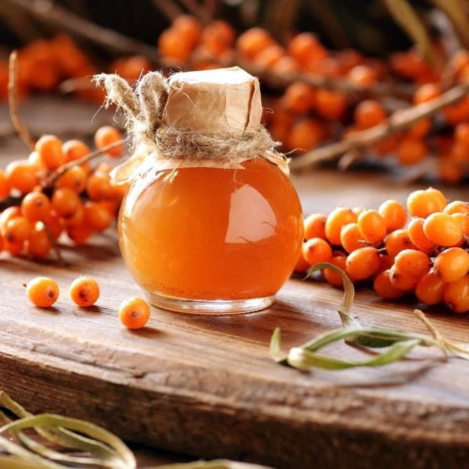 Sea Buckthorn "Seaberry" Tree Seeds Cold Hardy Fruit